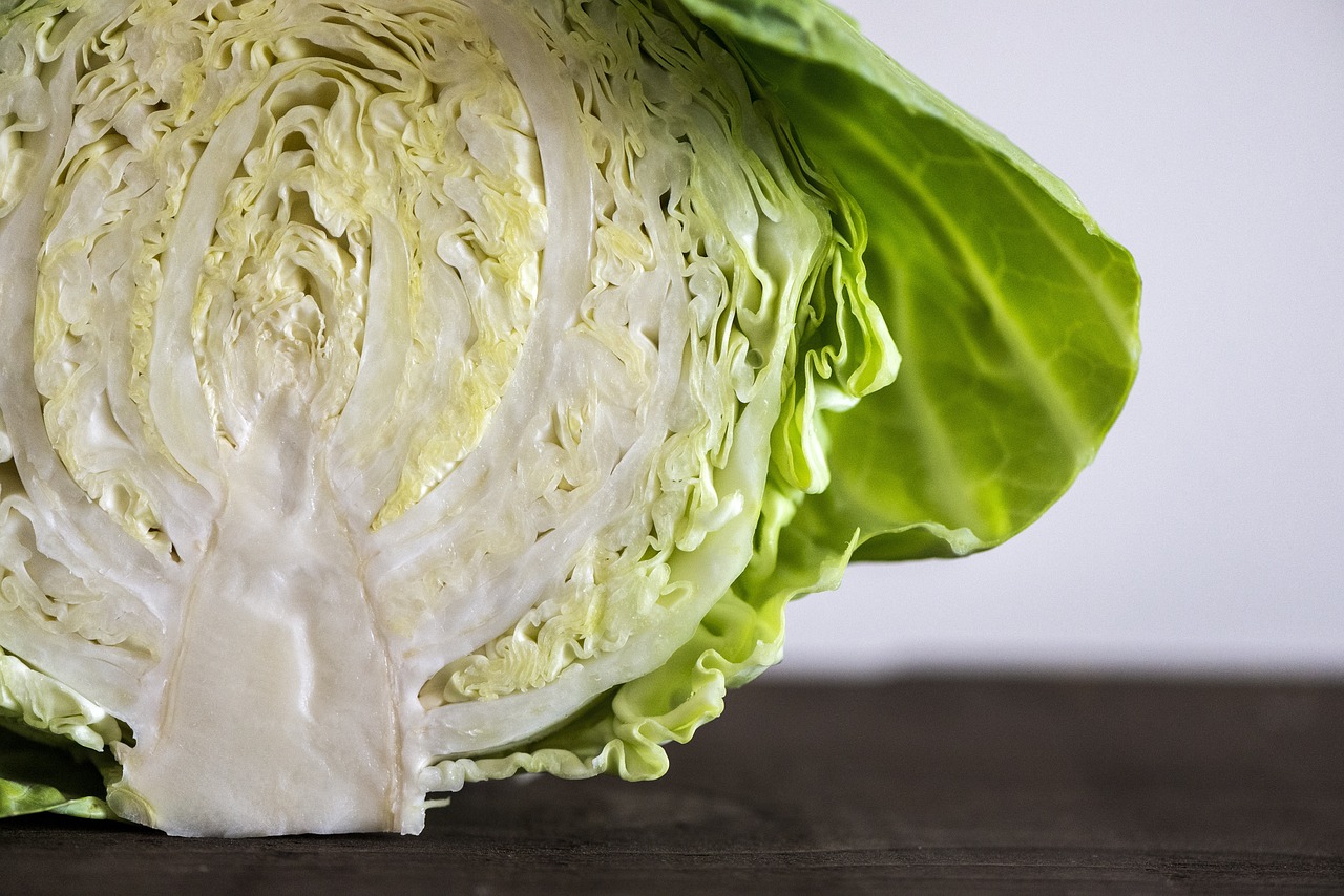 Best Tips for Growing Cabbage in Your Garden